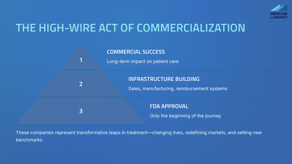 8_The-High-Wire-Act-of-Commercialization